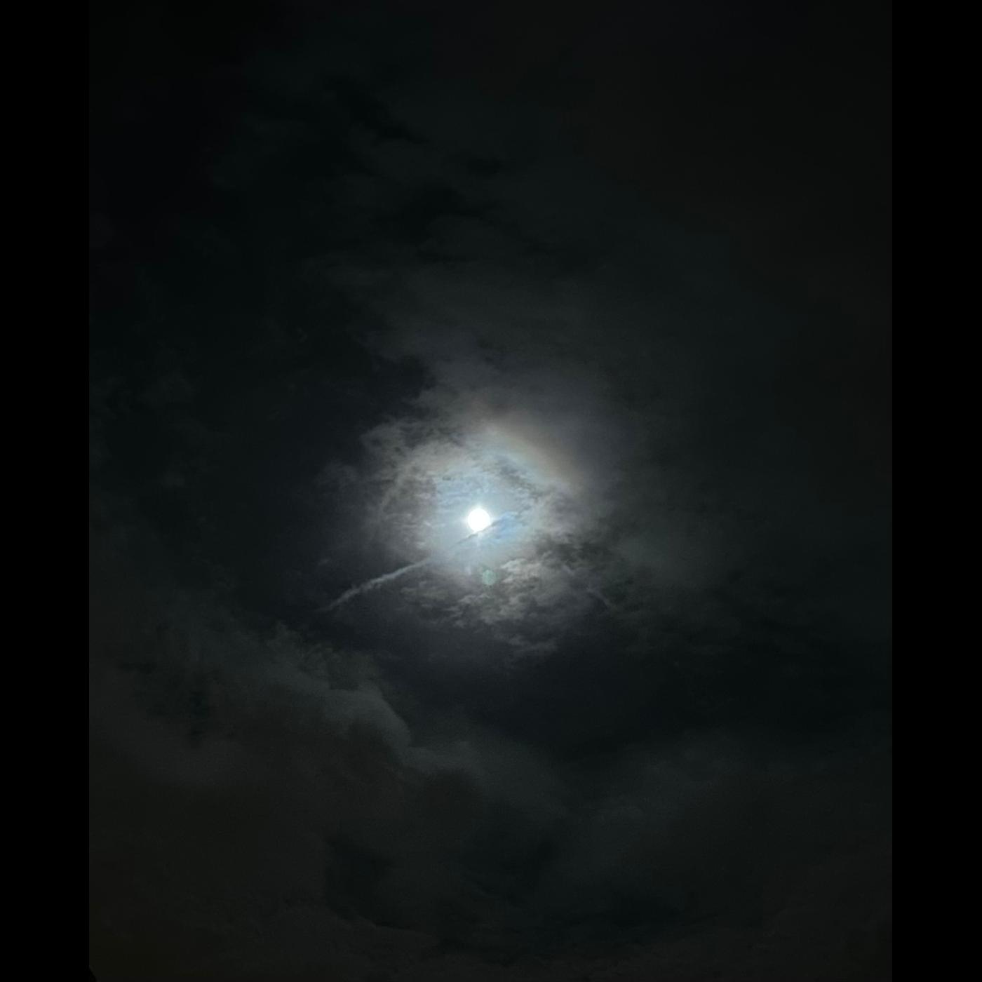 Ø